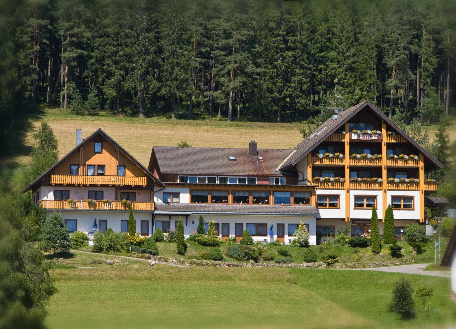 Auerhahn Bed And Breakfast - Black Forest - Waldhotel Eisenbach  Exterior photo