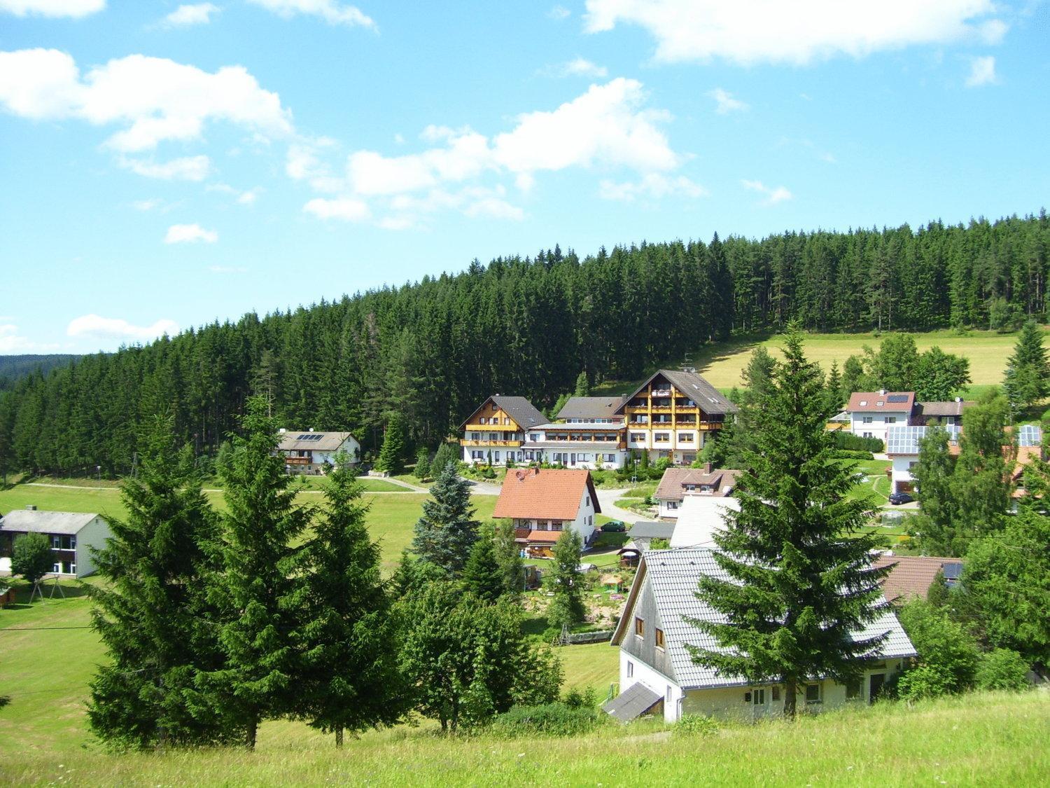 Auerhahn Bed And Breakfast - Black Forest - Waldhotel Eisenbach  Exterior photo