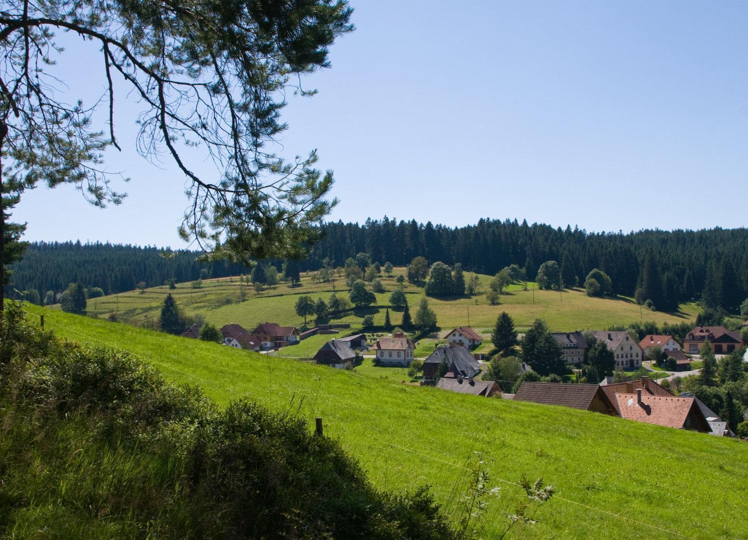 Auerhahn Bed And Breakfast - Black Forest - Waldhotel Eisenbach  Exterior photo