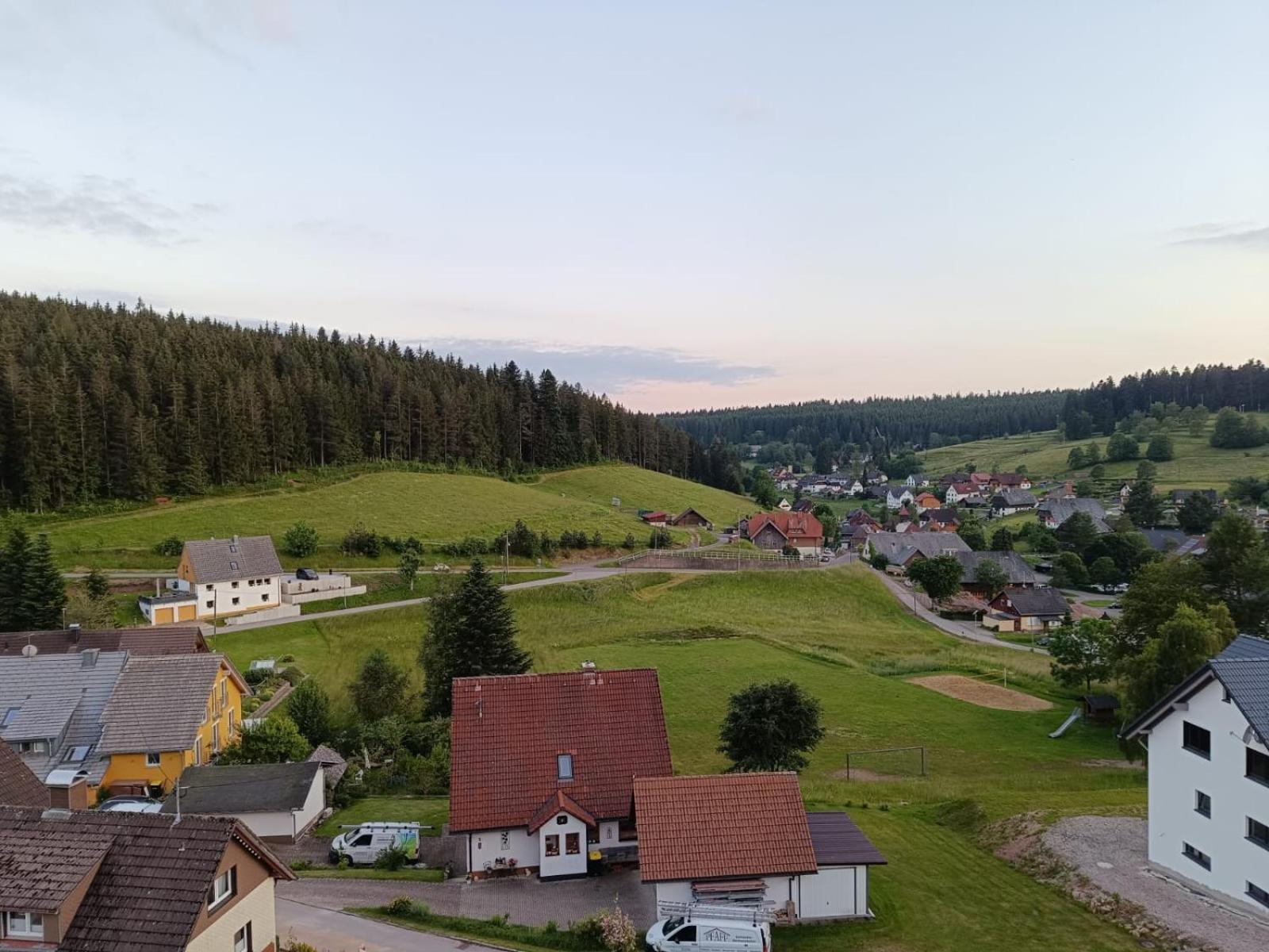 Auerhahn Bed And Breakfast - Black Forest - Waldhotel Eisenbach  Exterior photo