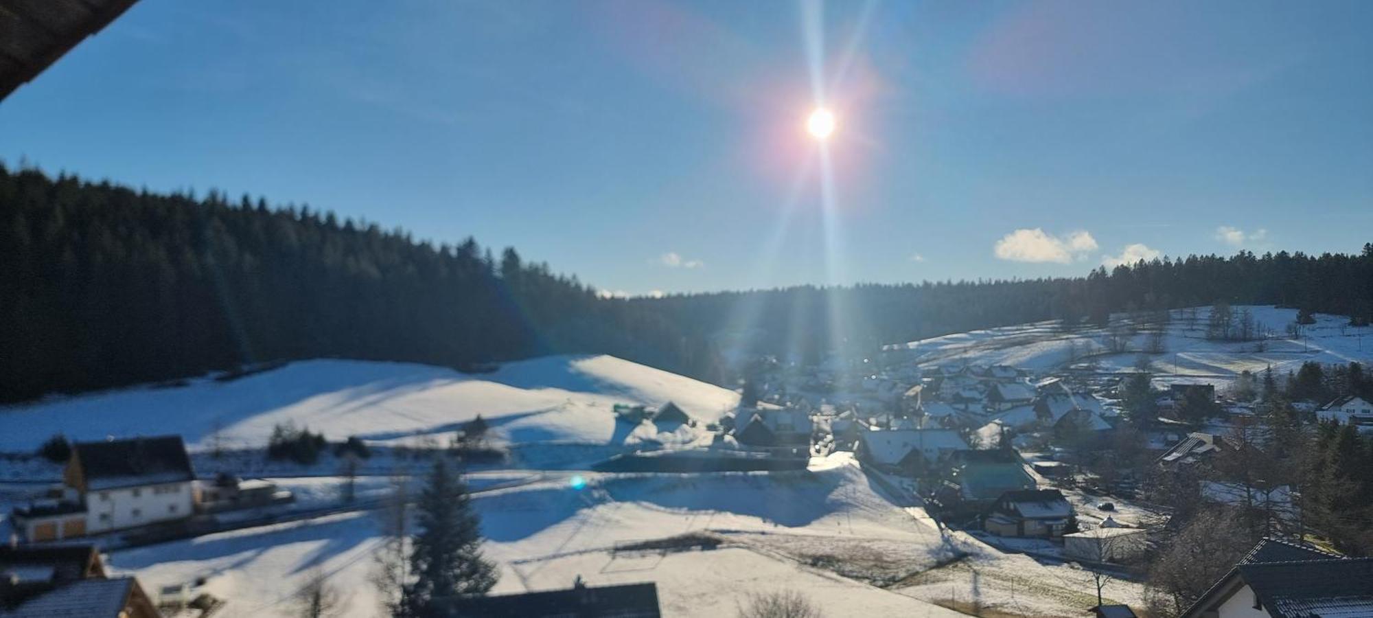 Auerhahn Bed And Breakfast - Black Forest - Waldhotel Eisenbach  Exterior photo