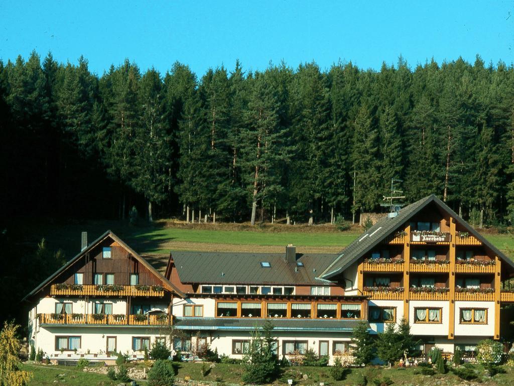 Auerhahn Bed And Breakfast - Black Forest - Waldhotel Eisenbach  Exterior photo