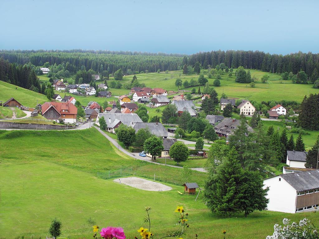 Auerhahn Bed And Breakfast - Black Forest - Waldhotel Eisenbach  Exterior photo